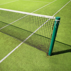 Falange Elemental Artístico Postes de tenis en tierra de 80 mm de aluminio - Cicadex